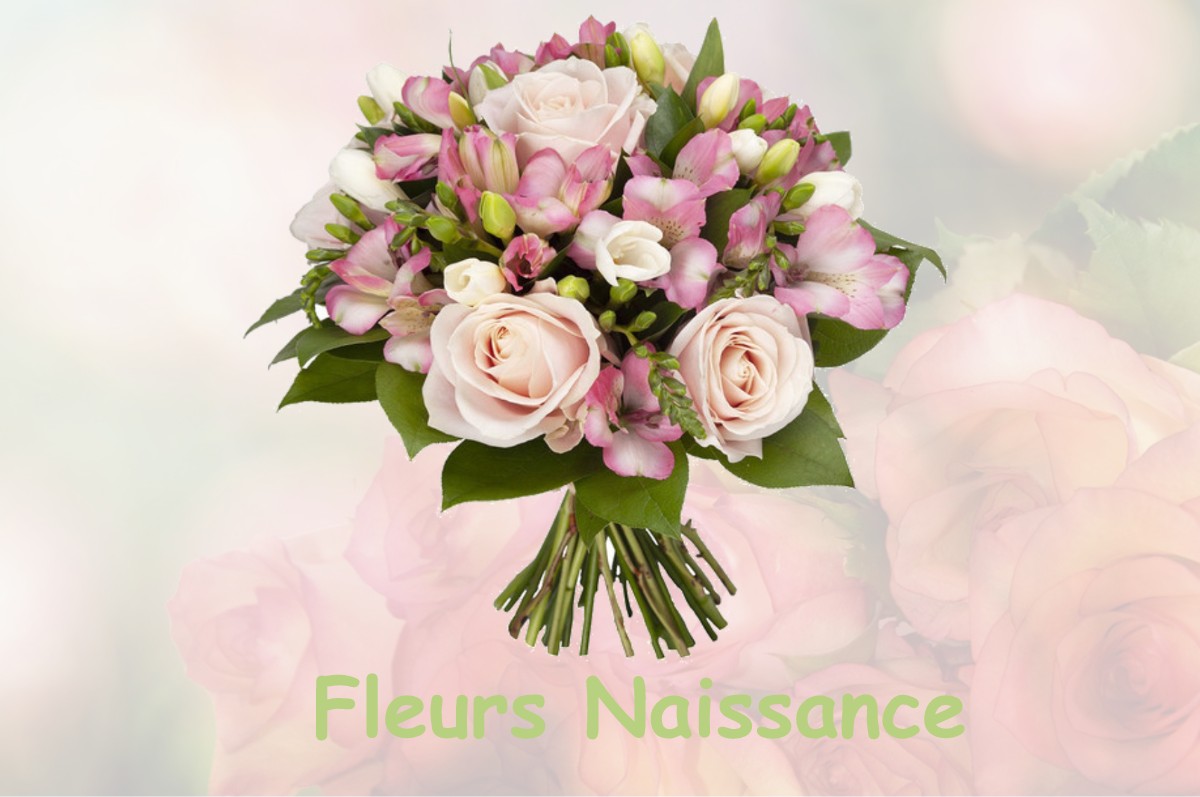 fleurs naissance NOIDANS-LE-FERROUX