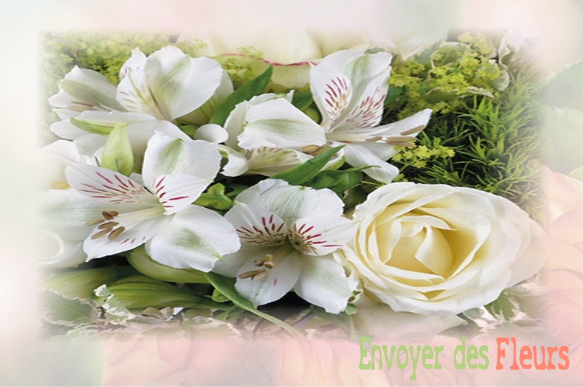 envoyer des fleurs à à NOIDANS-LE-FERROUX