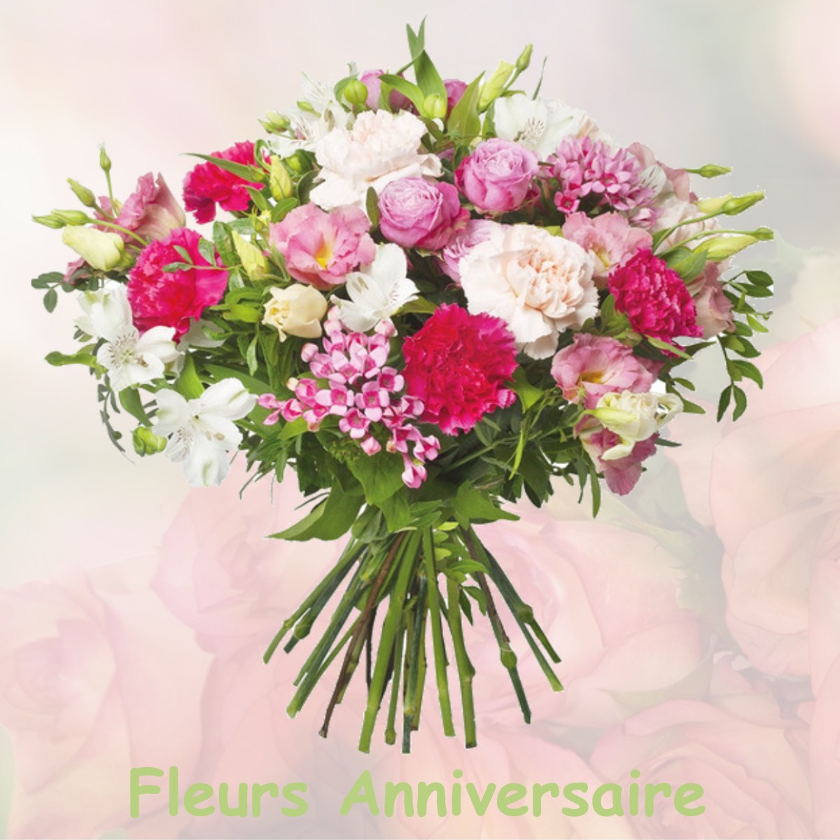 fleurs anniversaire NOIDANS-LE-FERROUX